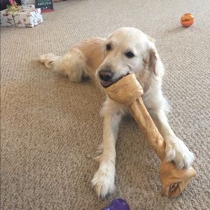 Meet your Posher, Cody